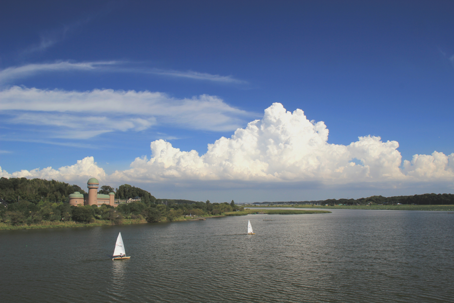 我孫子市内の市民活動情報が　　　満載！
