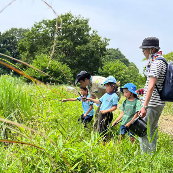 【自然のなかで】 岡発戸の野営場の近くには自然がいっぱい。谷津でザリガニ釣りをしたり、手賀沼のほとりで凧揚げしたり、野草を摘んで天ぷらにすることも…