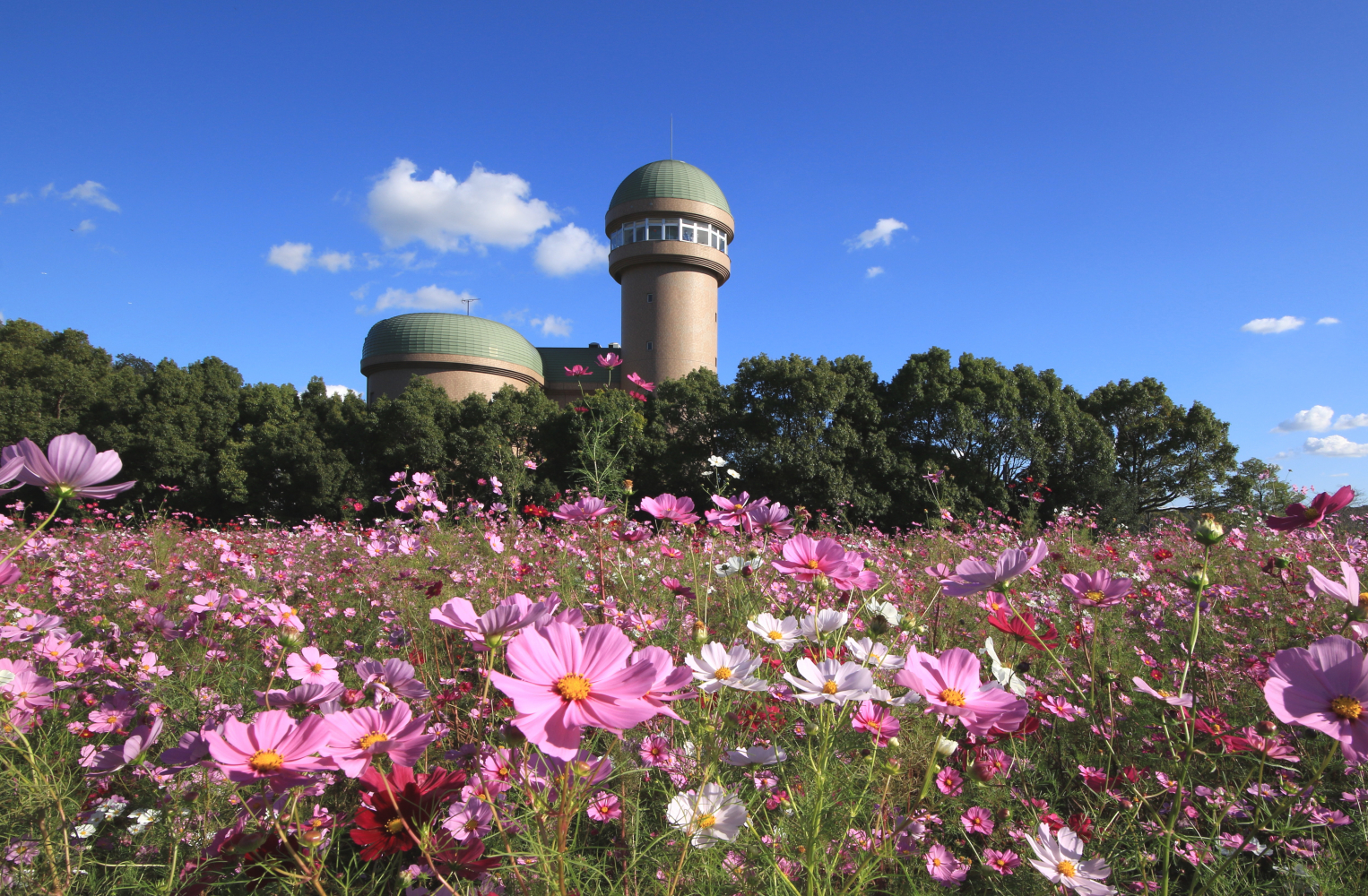 我孫子市内の市民活動情報が　　　満載！