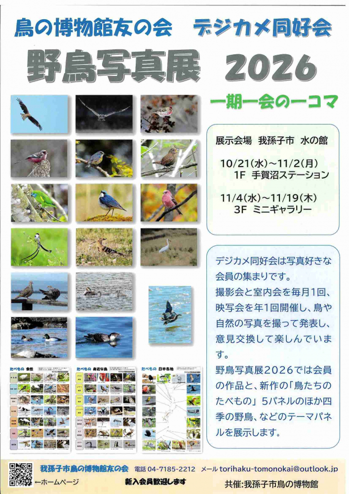鳥の博物館友の会テジカメ同好会 野島写真展 2026