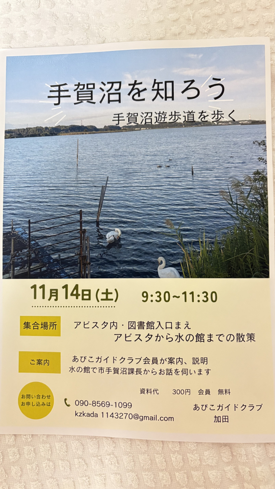 11月例会　手賀沼公園から親水広場コース